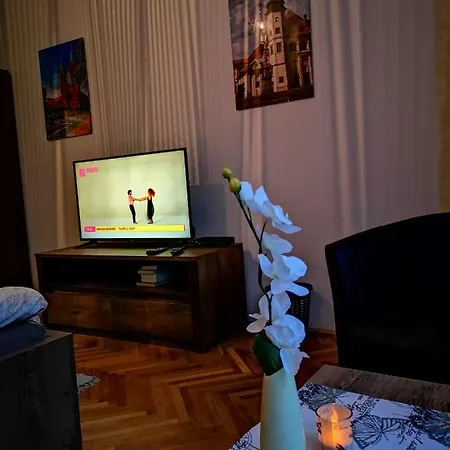 Apartman Luxury 3 With Sauna In The Center *