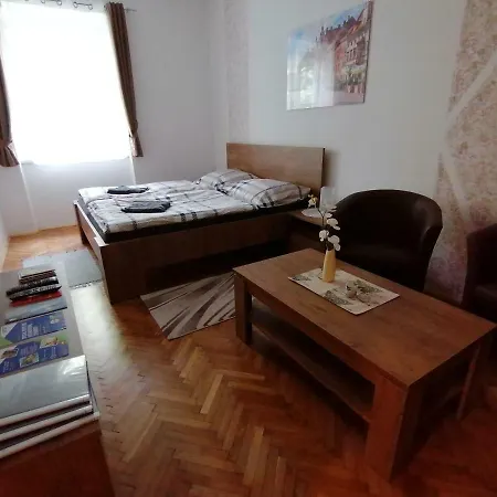 Luxury 3 With Sauna In The Center Apartament *